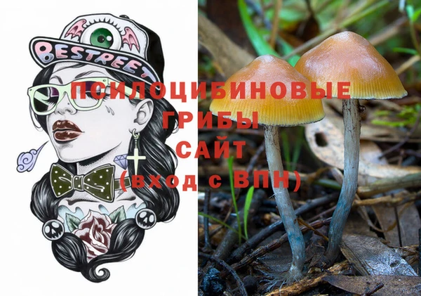 стаф Семилуки