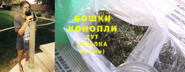 шишки Семикаракорск