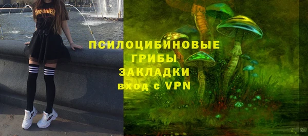 стаф Семилуки