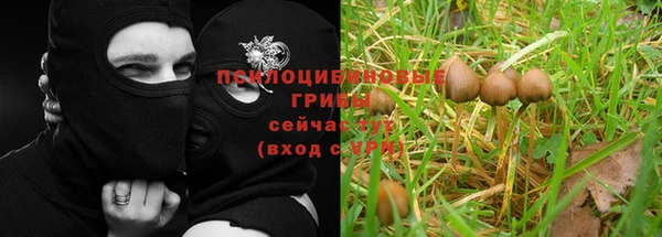 шишки Семикаракорск