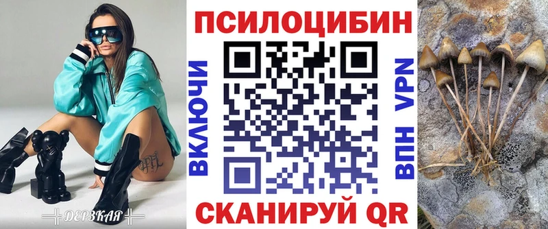 купить   Кодинск  kraken рабочий сайт  Галлюциногенные грибы Psilocybe 