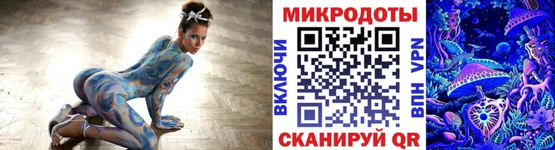 Псилоцибиновые грибы Psilocybine cubensis Кодинск