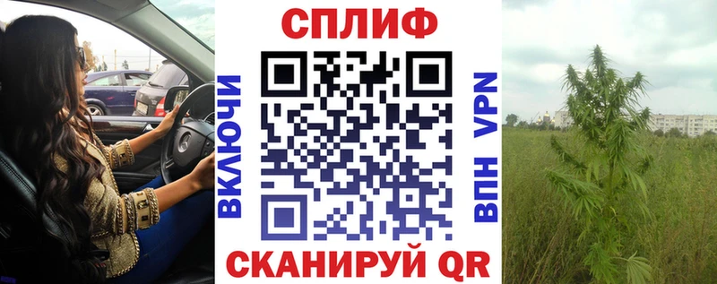 Шишки марихуана семена  MEGA маркетплейс  Кодинск  хочу  